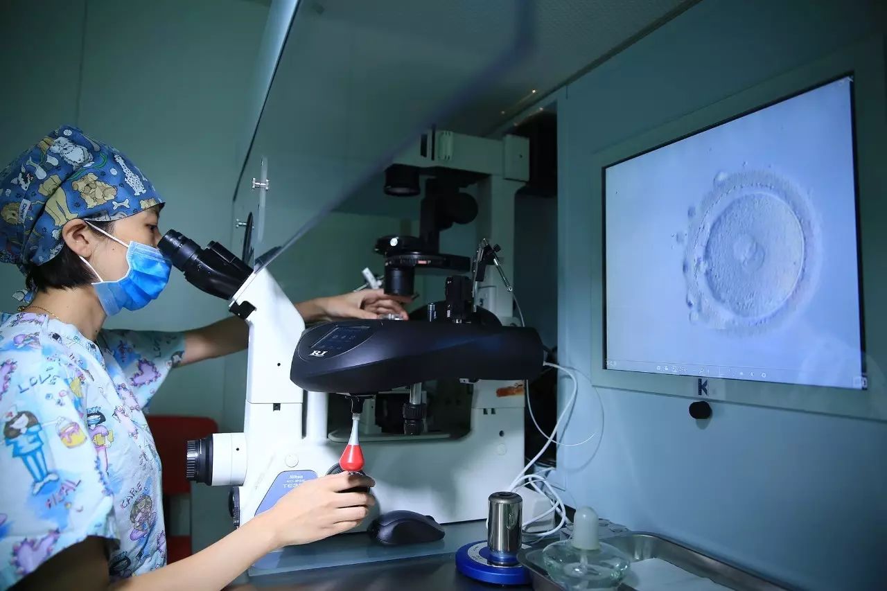 24小时黑客在线接单xs答问