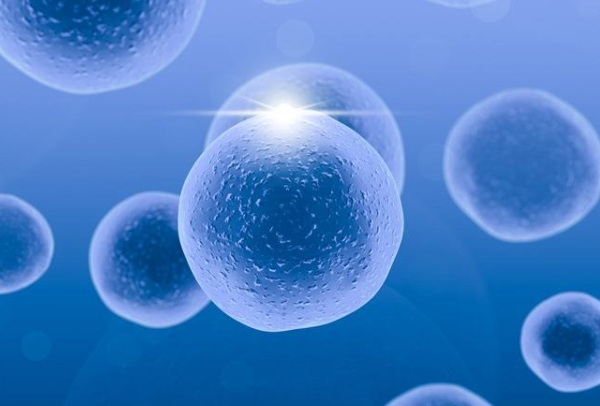 24小时黑客在线接单交易平台