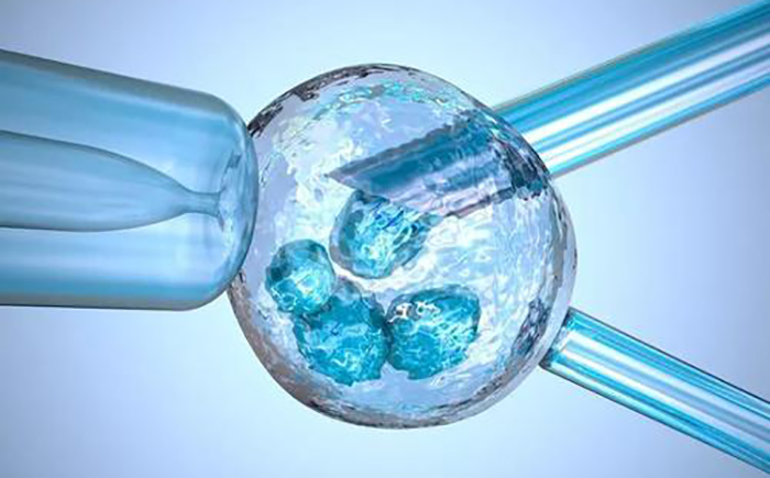 24小时黑客在线好技术