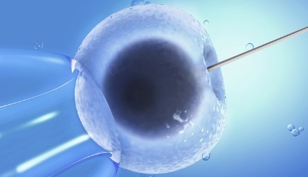 24小时黑客在线接单交易平台