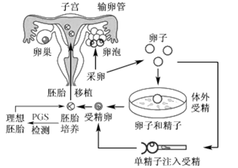 24小时黑客在线查询