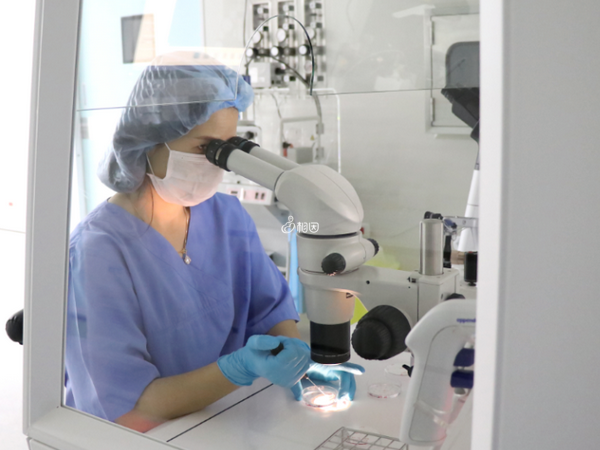 24小时黑客在线接单xs答问