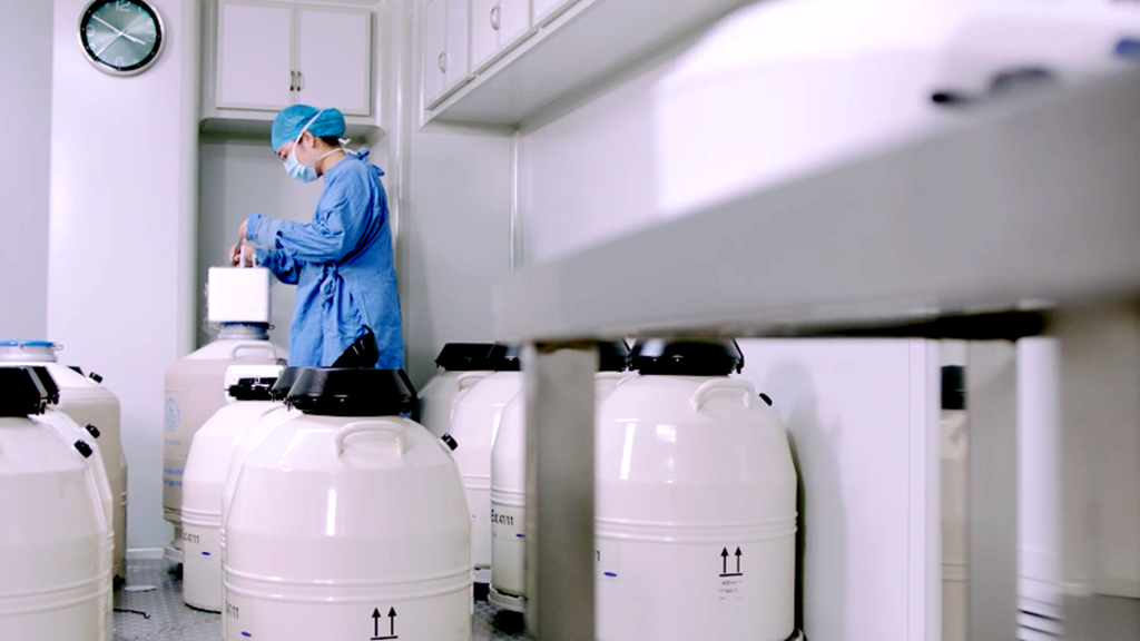 黑客在线接单交易平台网站