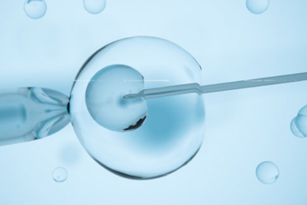 免费接单黑客qq 黑客群