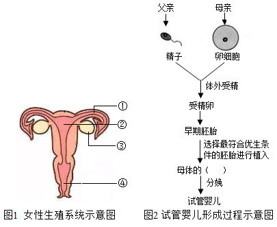 黑客24小时在线接单/查微信记录