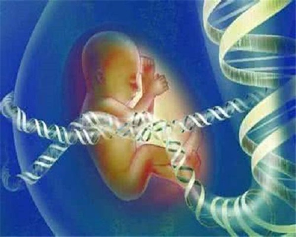 24小时正规黑客