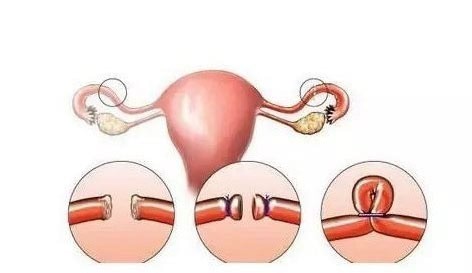 黑客在线接单交易平台网站