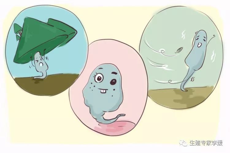 24小时黑客在线接单平台